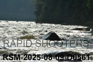 RSM-2025-08-09-D0561