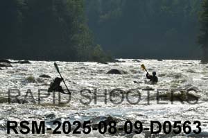 RSM-2025-08-09-D0563