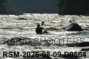 RSM-2025-08-09-D0564