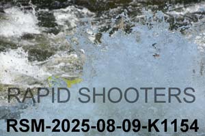 RSM-2025-08-09-K1154