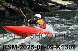 RSM-2025-08-09-K1309