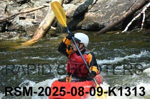 RSM-2025-08-09-K1313