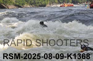RSM-2025-08-09-K1368