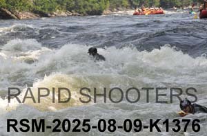 RSM-2025-08-09-K1376