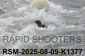 RSM-2025-08-09-K1377