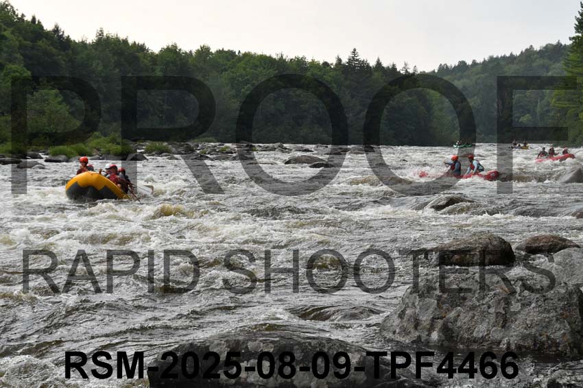 RSM-2025-08-09-TPF4466
