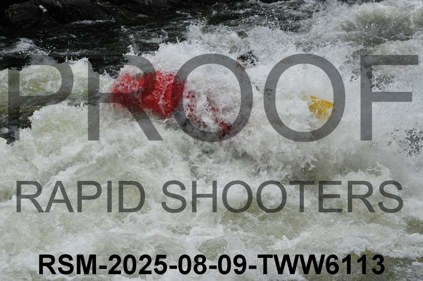 RSM-2025-08-09-TWW6113