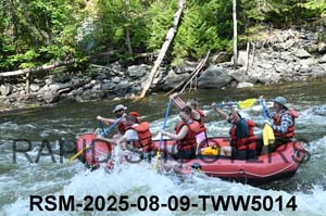 RSM-2025-08-09-TWW5014