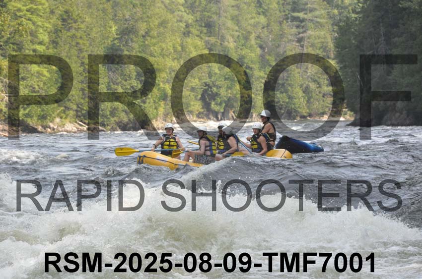 RSM-2025-08-09-TMF7001