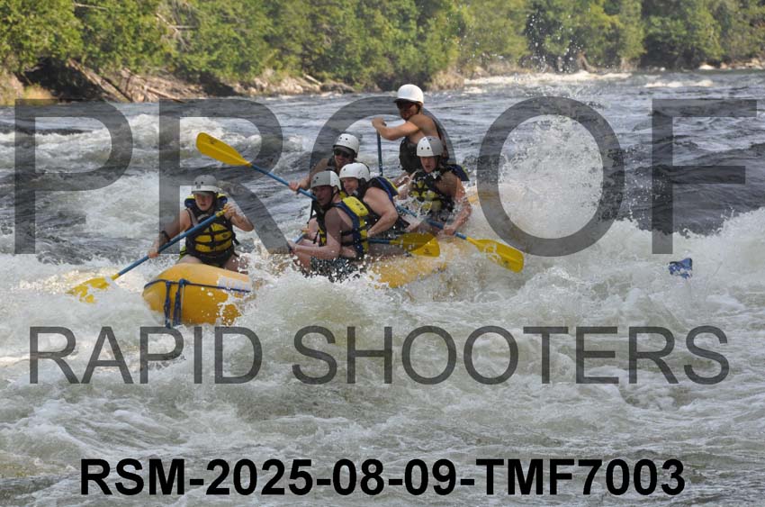 RSM-2025-08-09-TMF7003