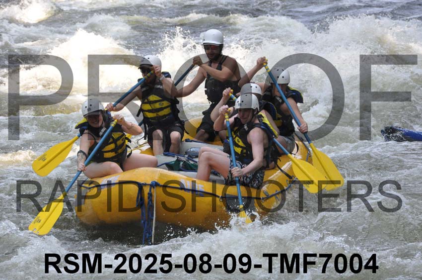 RSM-2025-08-09-TMF7004