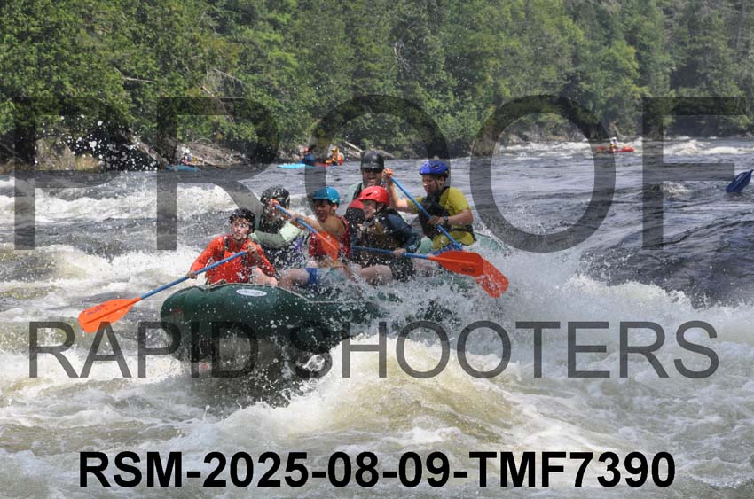 RSM-2025-08-09-TMF7390