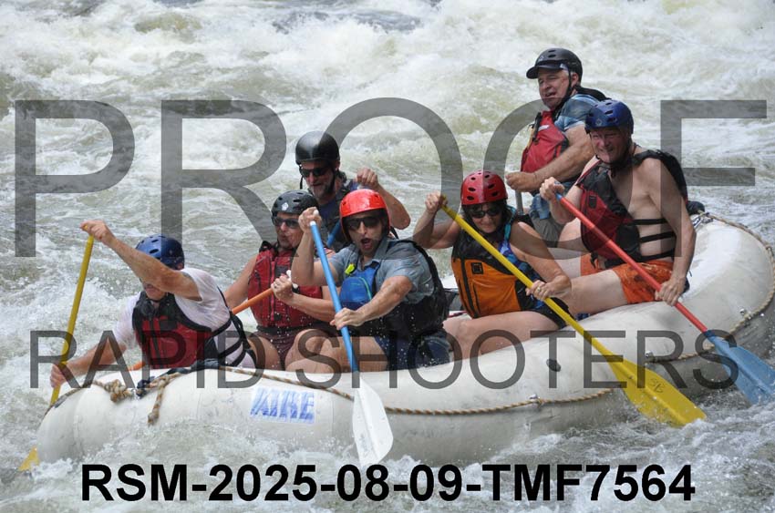 RSM-2025-08-09-TMF7564