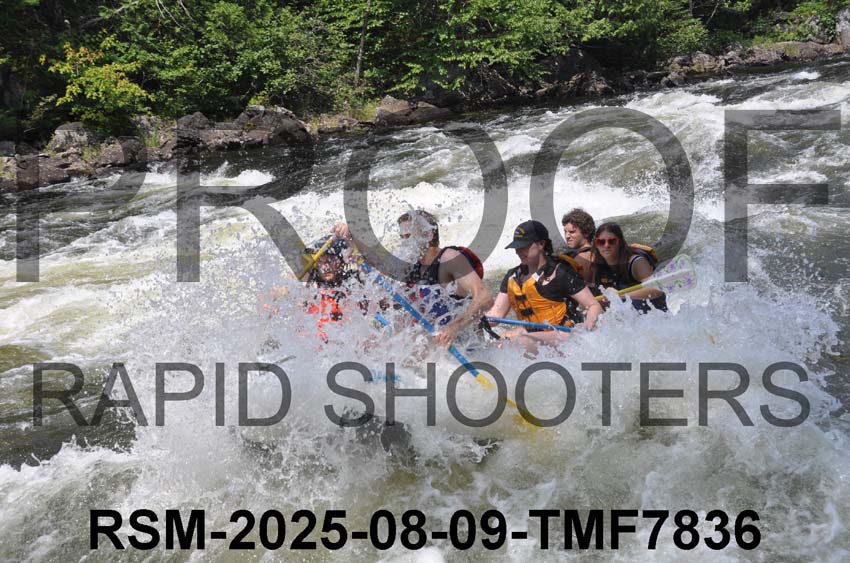 RSM-2025-08-09-TMF7836