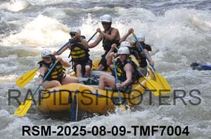 RSM-2025-08-09-TMF7004