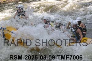 RSM-2025-08-09-TMF7006