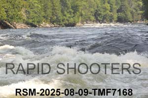 RSM-2025-08-09-TMF7168