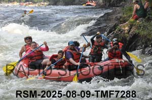 RSM-2025-08-09-TMF7288