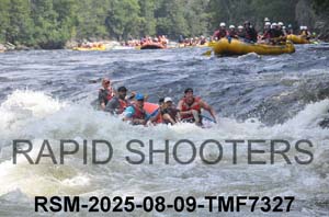 RSM-2025-08-09-TMF7327