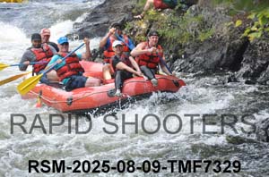 RSM-2025-08-09-TMF7329