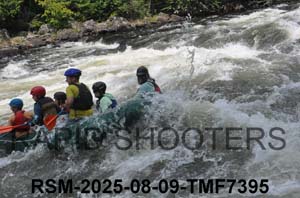 RSM-2025-08-09-TMF7395