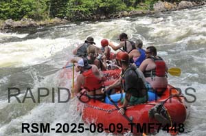 RSM-2025-08-09-TMF7448
