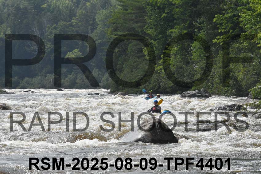 RSM-2025-08-09-TPF4401