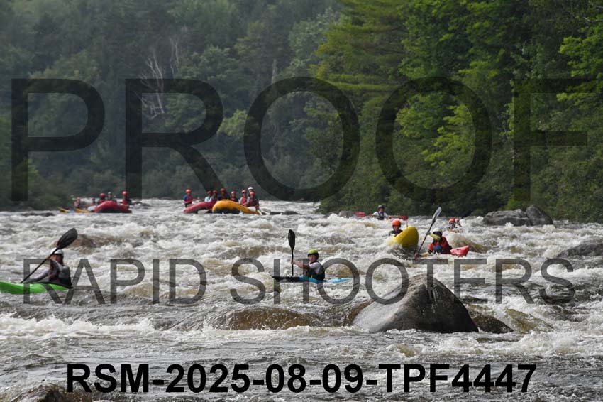 RSM-2025-08-09-TPF4447