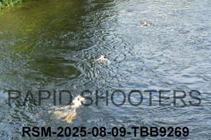 RSM-2025-08-09-TBB9269
