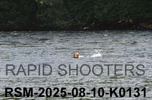 RSM-2025-08-10-K0131