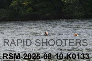 RSM-2025-08-10-K0133