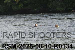 RSM-2025-08-10-K0134