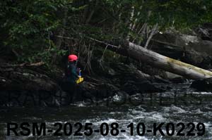 RSM-2025-08-10-K0229