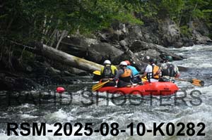 RSM-2025-08-10-K0282