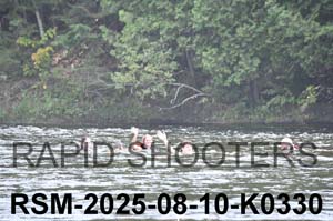 RSM-2025-08-10-K0330