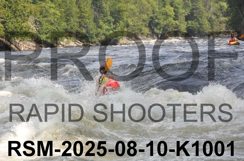 RSM-2025-08-10-K1001