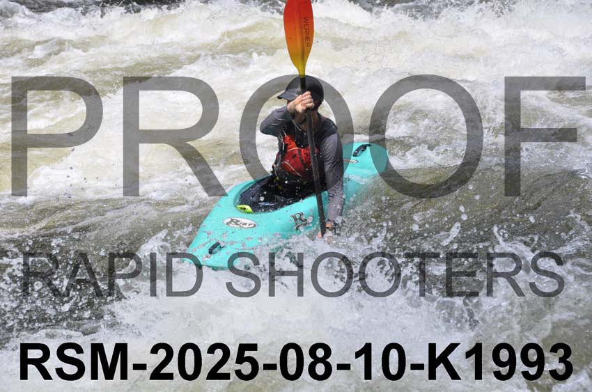 RSM-2025-08-10-K1993