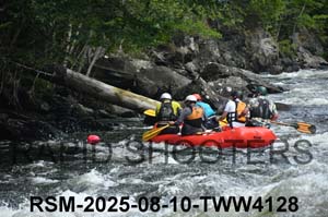 RSM-2025-08-10-TWW4128