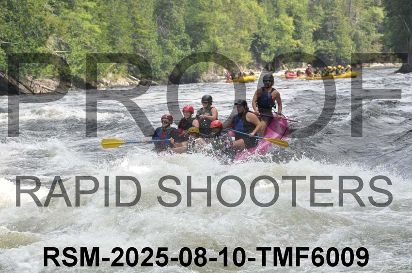 RSM-2025-08-10-TMF6009