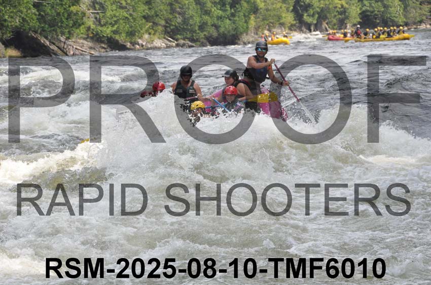 RSM-2025-08-10-TMF6010