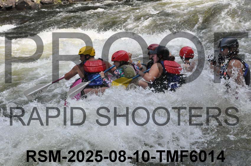 RSM-2025-08-10-TMF6014