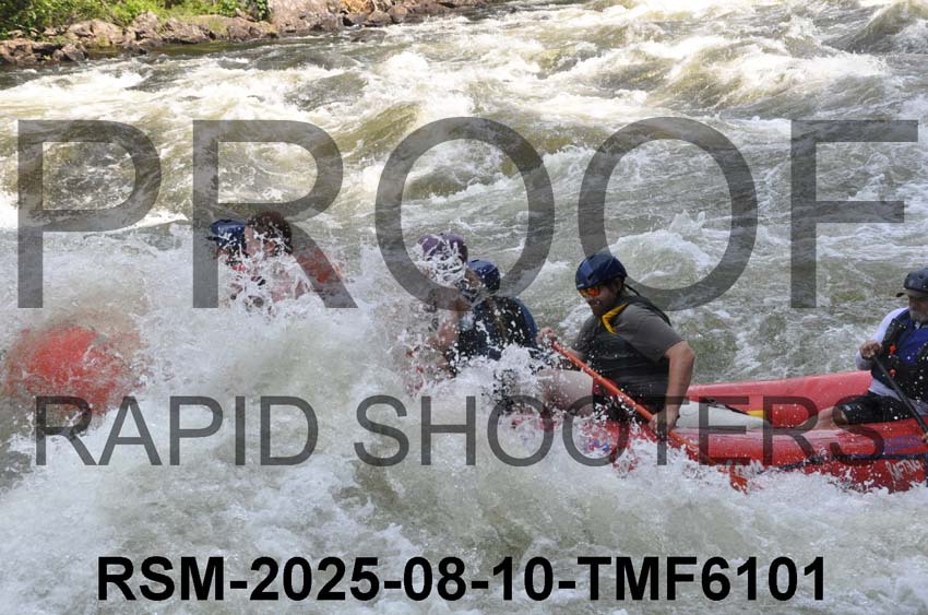 RSM-2025-08-10-TMF6101