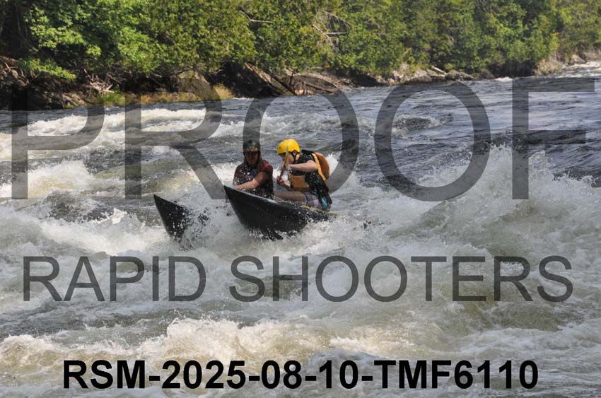 RSM-2025-08-10-TMF6110
