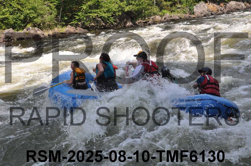 RSM-2025-08-10-TMF6130