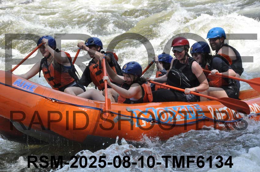 RSM-2025-08-10-TMF6134