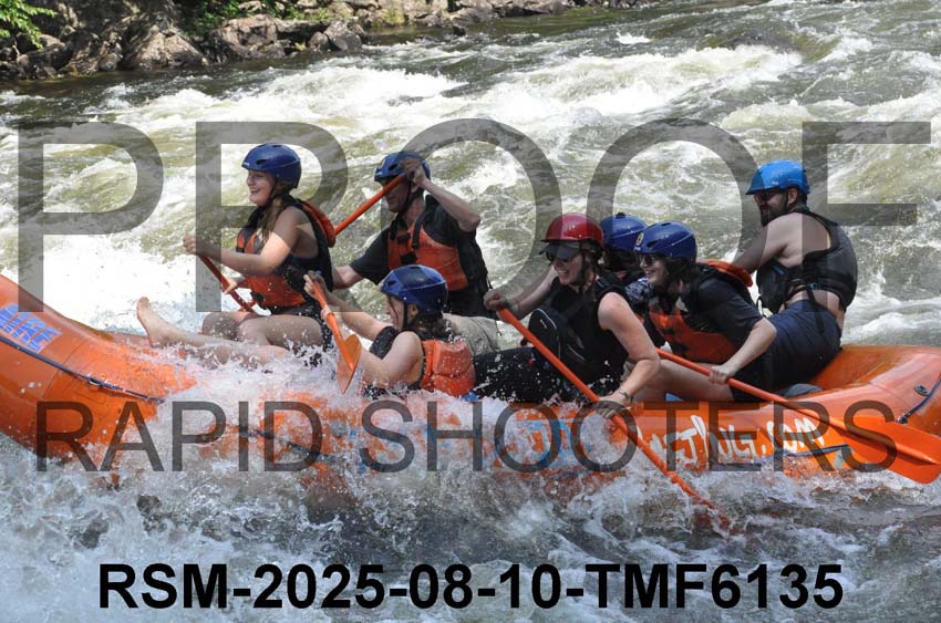 RSM-2025-08-10-TMF6135