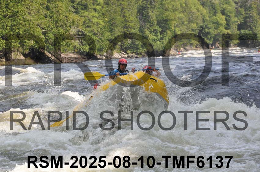 RSM-2025-08-10-TMF6137