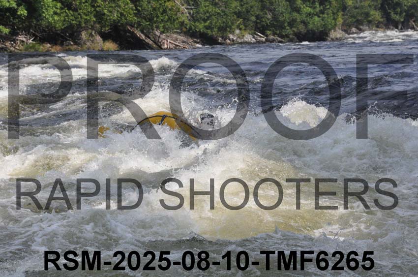 RSM-2025-08-10-TMF6265