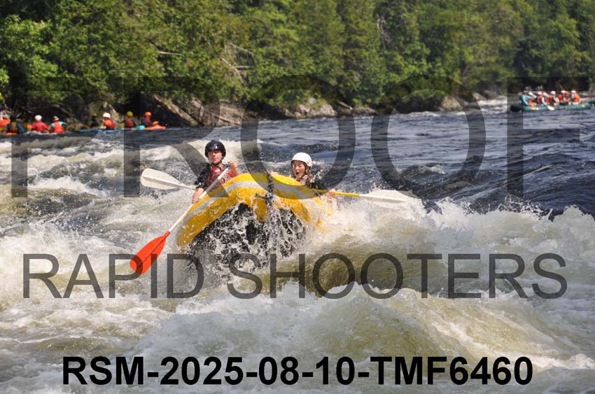 RSM-2025-08-10-TMF6460