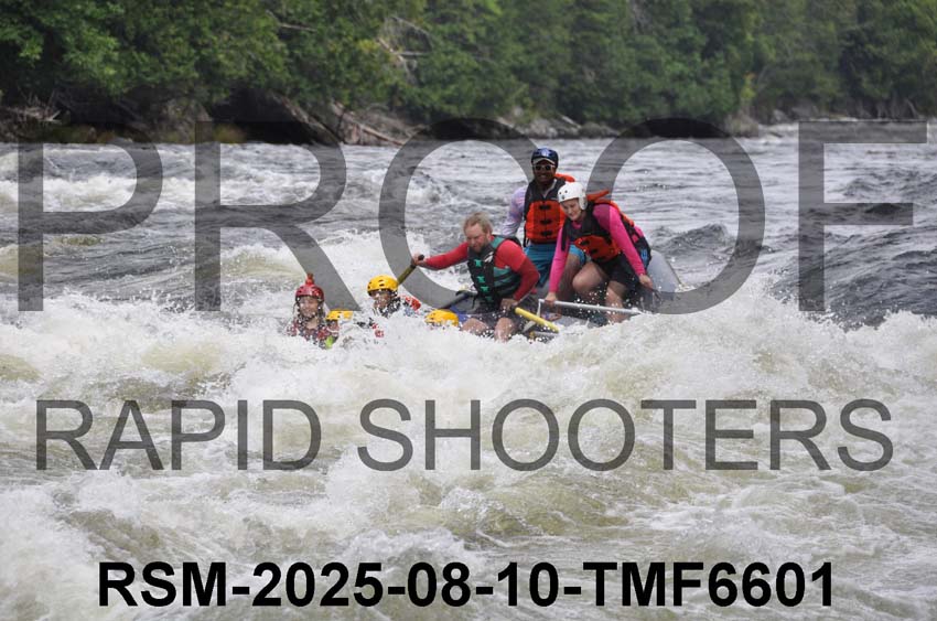 RSM-2025-08-10-TMF6601